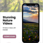 canva-28
