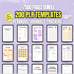 canva-30